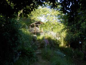 佩内拉Green Man yurt的花园中的一个凉亭