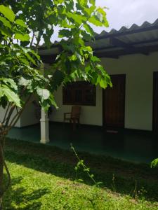 锡吉里亚Sigiri Green Shadow Homestay的享有度假屋花园的景致。