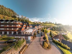 巴特彼得斯塔尔-格里斯巴赫多棱伯格酒店的享有小镇空中和高山美景