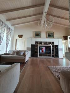 巴多利诺Villa Claudia的带沙发和平面电视的客厅