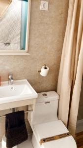 拉洛勒斯Camping Alpujarras的一间带水槽、卫生间和镜子的浴室