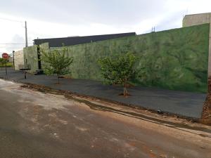 奥林匹亚Kitnets RECANTO MAGRO的街道边的树木墙