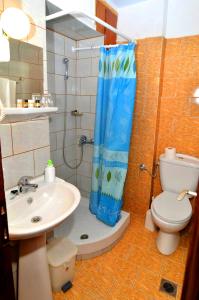 利迈纳里亚Hotel TRIADA的带淋浴、卫生间和盥洗盆的浴室