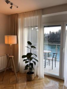 马里博尔Maximo Apartments - free parking的一间种植了植物的客厅和滑动玻璃门