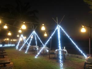 蔻立考拉克棕榈海滩度假酒店的一群夜晚在帐篷上的灯光