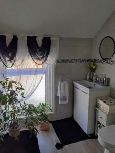 布里德灵顿The Holly & Ivy的一间带水槽的浴室和一个带植物的窗户
