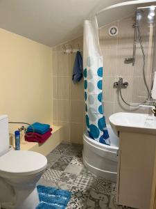 库尔迪加Viesu nams Pupa的浴室配有卫生间、淋浴和盥洗盆。