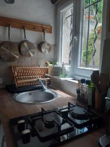 卢贝新城Garden Annexe的厨房配有炉灶以及带锅碗瓢盆的盥洗池。