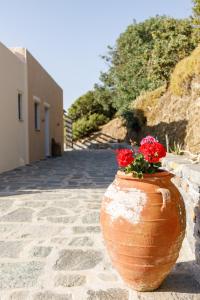 伊利达Cycladic Villa with sea view!的人行道上一个红色花卉的大粘土花瓶