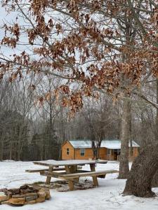 冬天的Cabin with a tree house on a buffalo farm .