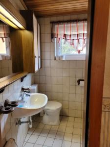 米尔茨楚施拉格Ferienwohnung Max的一间带水槽和卫生间的浴室