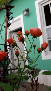 卡纳内亚Pousada Villa de Cananea的门前的一束红色鲜花
