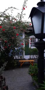 卡纳内亚Pousada Villa de Cananea的大楼前的路灯和长凳