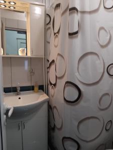 利塔尼Vikendica RTANJ的一间带水槽和淋浴帘的浴室