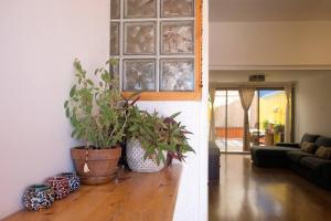 埃拉特Cosy Family Home & Garden in Eilat的客厅铺有木地板,配有两株盆栽植物