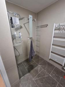 别拉什尼察Mountain Wings Bjelasnica Apartment的浴室里设有玻璃门淋浴