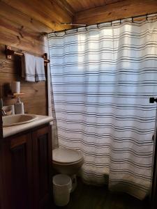 CararaPrivate Mountaintop Cabin in Carara Biological Corridor 20 minutes to beaches的一间带卫生间和淋浴帘的浴室