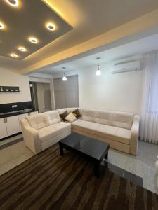 新帕扎尔LUNA Apartment的带沙发和咖啡桌的客厅