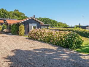 森讷比5 person holiday home in Juelsminde的一座房子前面的灌木丛,花粉红色