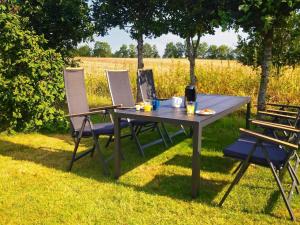 锡尔克堡6 person holiday home in Silkeborg的草上野餐桌椅