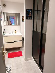 迪耶普sur ile du pollet的浴室设有水槽和带红色地毯的淋浴。