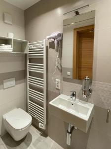 卢森堡Albergo Aida的一间带水槽、卫生间和镜子的浴室