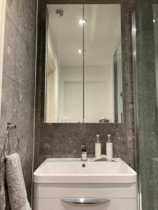 布莱顿霍夫Olive Tree Apartment Hove的浴室设有白色水槽和镜子