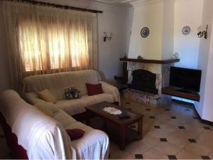 埃斯卡斯特利SANTA ANA的客厅设有两张沙发和一个壁炉