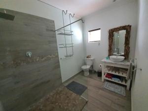 普利登堡湾Plett57 - Self Catering - Room No1的一间带水槽、卫生间和镜子的浴室
