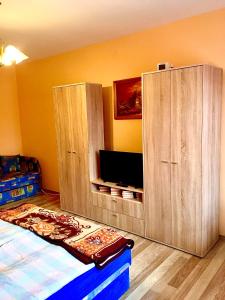 凯希道库什塔尼芭芭拉公寓的一间卧室配有木制橱柜和一台平面电视。