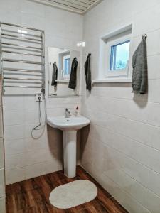 索尔塔瓦拉Загородный отель RAUTA的白色的浴室设有水槽和淋浴。