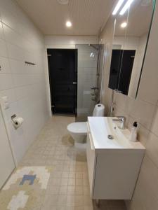 卡拉约基Kanervikko的一间带水槽、卫生间和镜子的浴室