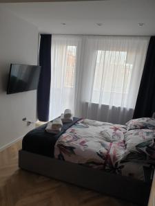 奥普尔Modern Apartment的一间卧室配有一张床和一台平面电视