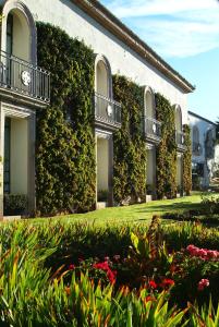 萨卡特卡斯Hotel & Spa Hacienda Baruk的一座常春藤覆盖着院子的花的建筑