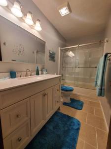 印第安纳波利斯Cozy Indy Home的一间带水槽、淋浴和卫生间的浴室