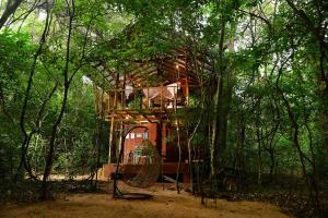 锡吉里亚皮杜兰加拉幽境酒店的森林中的一个树屋