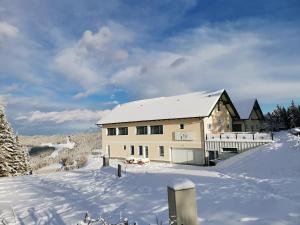PackGästehaus Hebalm, Family & Friends auf 900 m2 Wohnfläche erleben, Alleinnutzung möglich的雪中的房子,有雪覆盖的院子