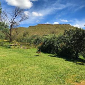 萨尼山口Sani Lodge and Backpackers Sani Pass South Africa的绿色的田野,山丘背景