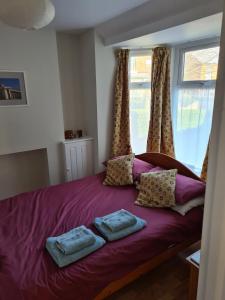 诺丁汉Bramblhen的一间卧室配有一张带枕头的紫色床和窗户。