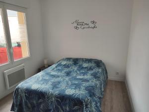 圣梅卢瓦代翁德Le pont T3 étoilé avec jacuzzi的一间卧室配有一张带蓝色毯子的床