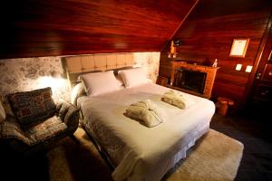 圣安东尼奥-杜皮尼亚尔Pousada Alpes的一间卧室配有一张床、一把椅子和一个壁炉