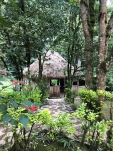 RubuguliNshongi Camp的花园中带茅草屋顶的小屋