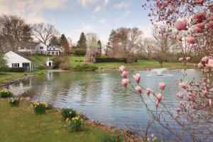 韦斯特切斯特The Inn at Whitewing Farm的院子里的池塘,有房子和粉红色的花朵