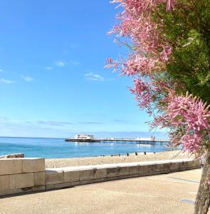 沃辛Gorgeous Central Studio with Balcony, 2 mins to Beach and Pier的享有大海美景,设有码头