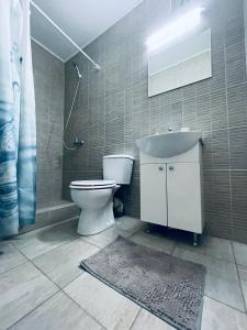 康斯坦察Casa Kito的浴室配有卫生间、盥洗盆和淋浴。