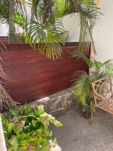 圣克鲁斯华特库Luna Creciente的木板凳,上面有一堆植物和椅子