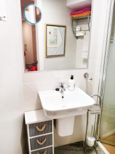 贝尼多姆Apartamento Ibañez的一间带水槽和镜子的浴室