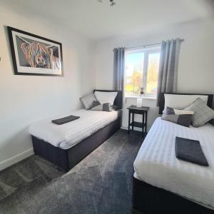 巴洛赫Levenside Holiday Apartment, Balloch, Loch Lomond的一间卧室设有两张床和窗户。