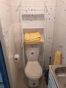 圣地亚哥Terminal Pajarito的一间小型浴室,内设白色的卫生间和水槽
