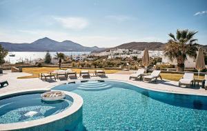 阿达玛斯Santa Maria Luxury Suites & Spa的一个带椅子的游泳池,享有水景